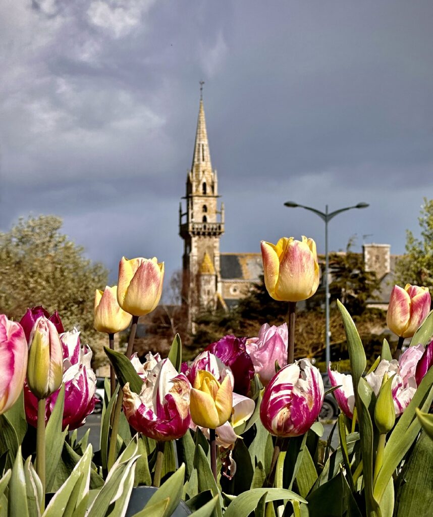 Eglise De Lancieux au milieu des tulipes. Un paysage bucolique à découvrir à pied ou à vélo.