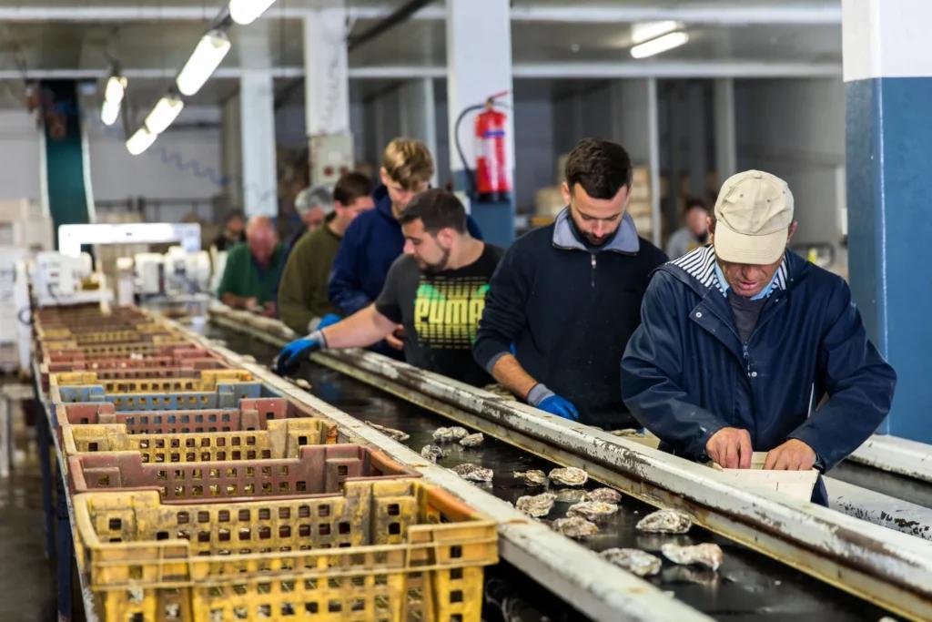 La Ferme marine de Cancale. En baie du Mont-Saint-Michel, découvrez le métier d'ostréiculteur.