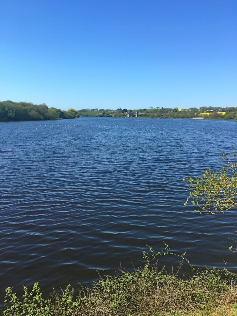 Le Bois Joli entre Tréméreuc et Pleurtuit est une retenue d'eau en amont du barrage du même nom. Un sentier aménagé permets aux promeneurs de se balader.