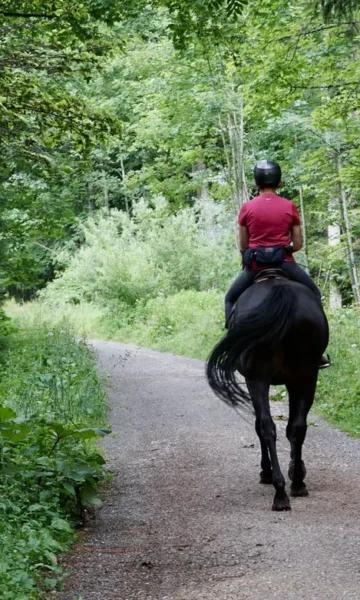 Unsplash Balade A Cheval