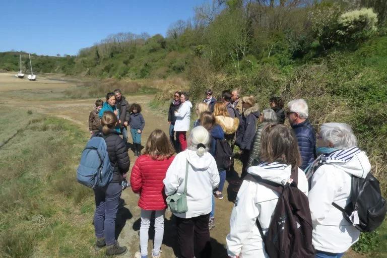 Les visites natures d'Escale Bretagne pour découvrir la biodiversité à Saint-Lunaire et Saint-Briac-sur-Mer.