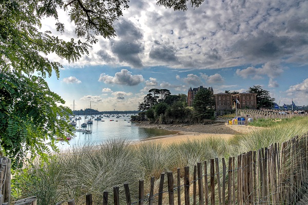 Terre Artistes Format Web