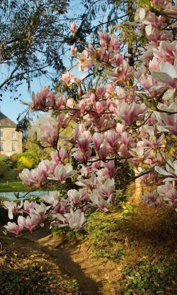 Parc Botanique De Haute Bretagne