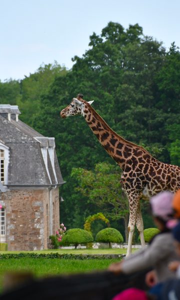 Chateau Et Zoo De La Bourbansais