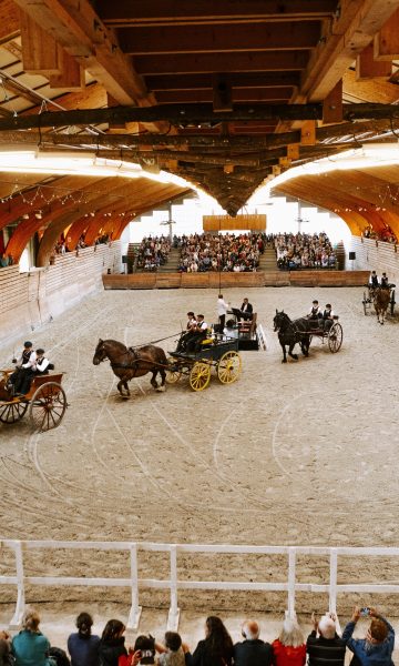 Haras De Lamballe Spectacle Juliettebanville 2 58