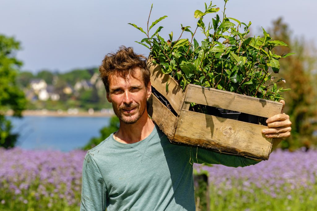 Bleu Thé Le Minihic Sur Rance