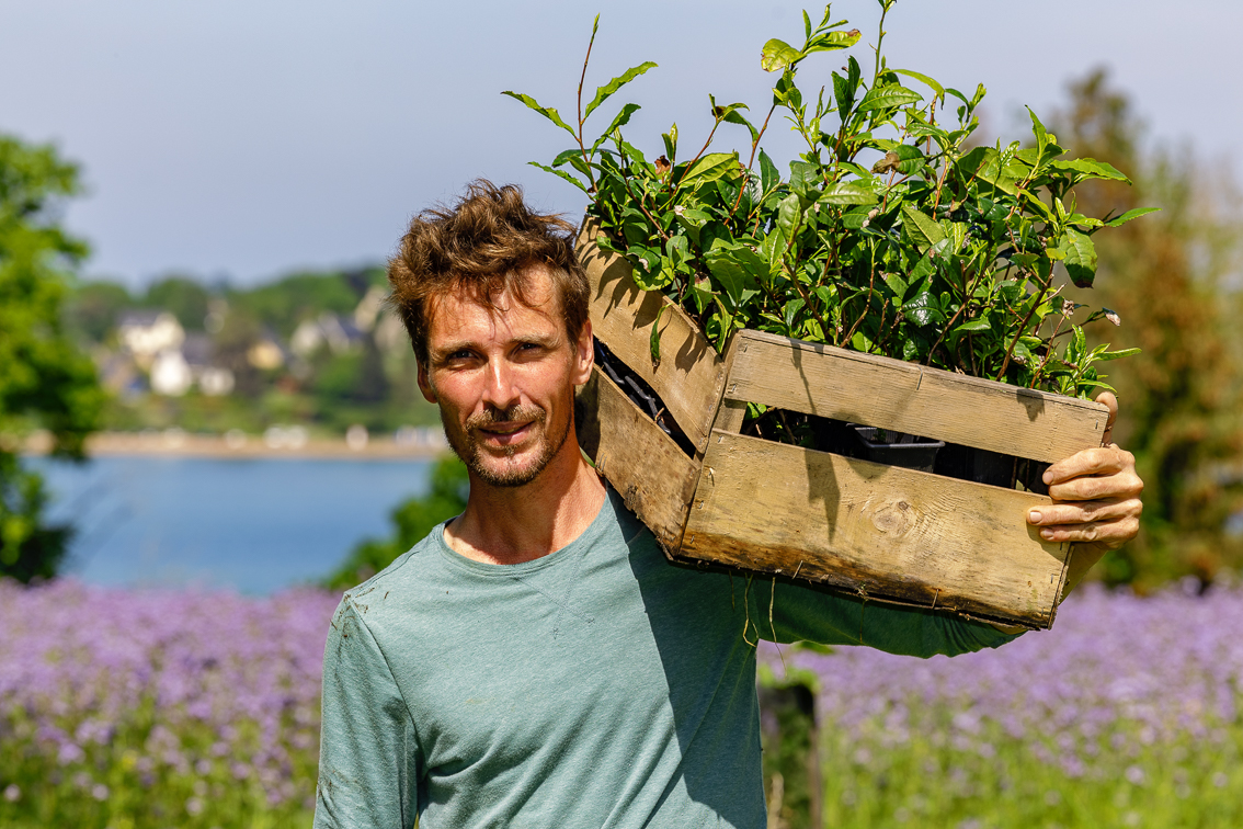 Bleu Thé Le Minihic Sur Rance