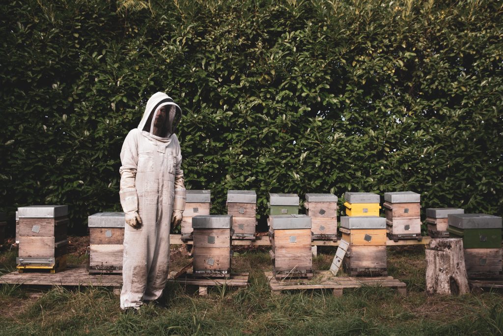 Hasenn X Renōm Studio2