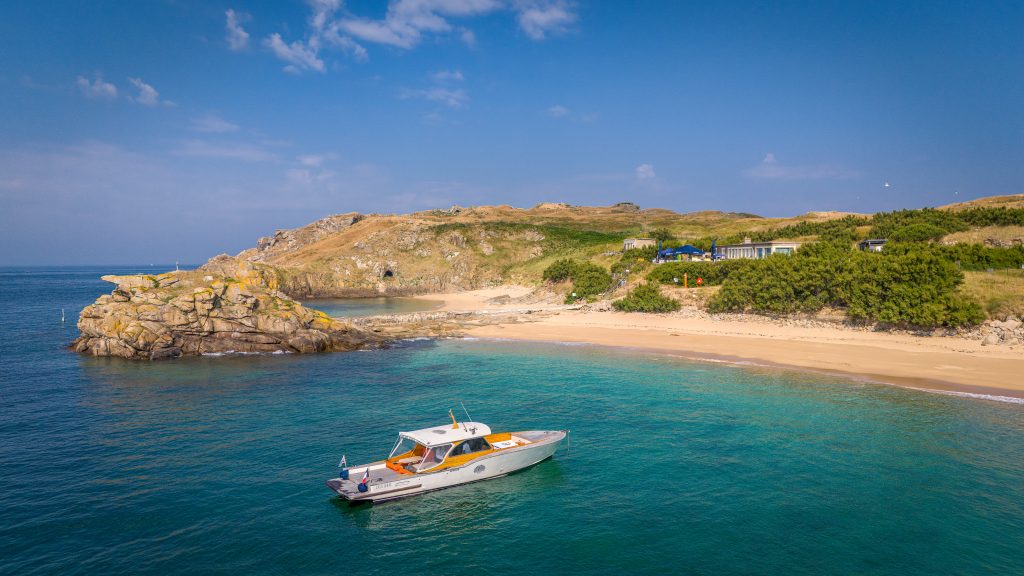 Fou de Bassan - castelbrac