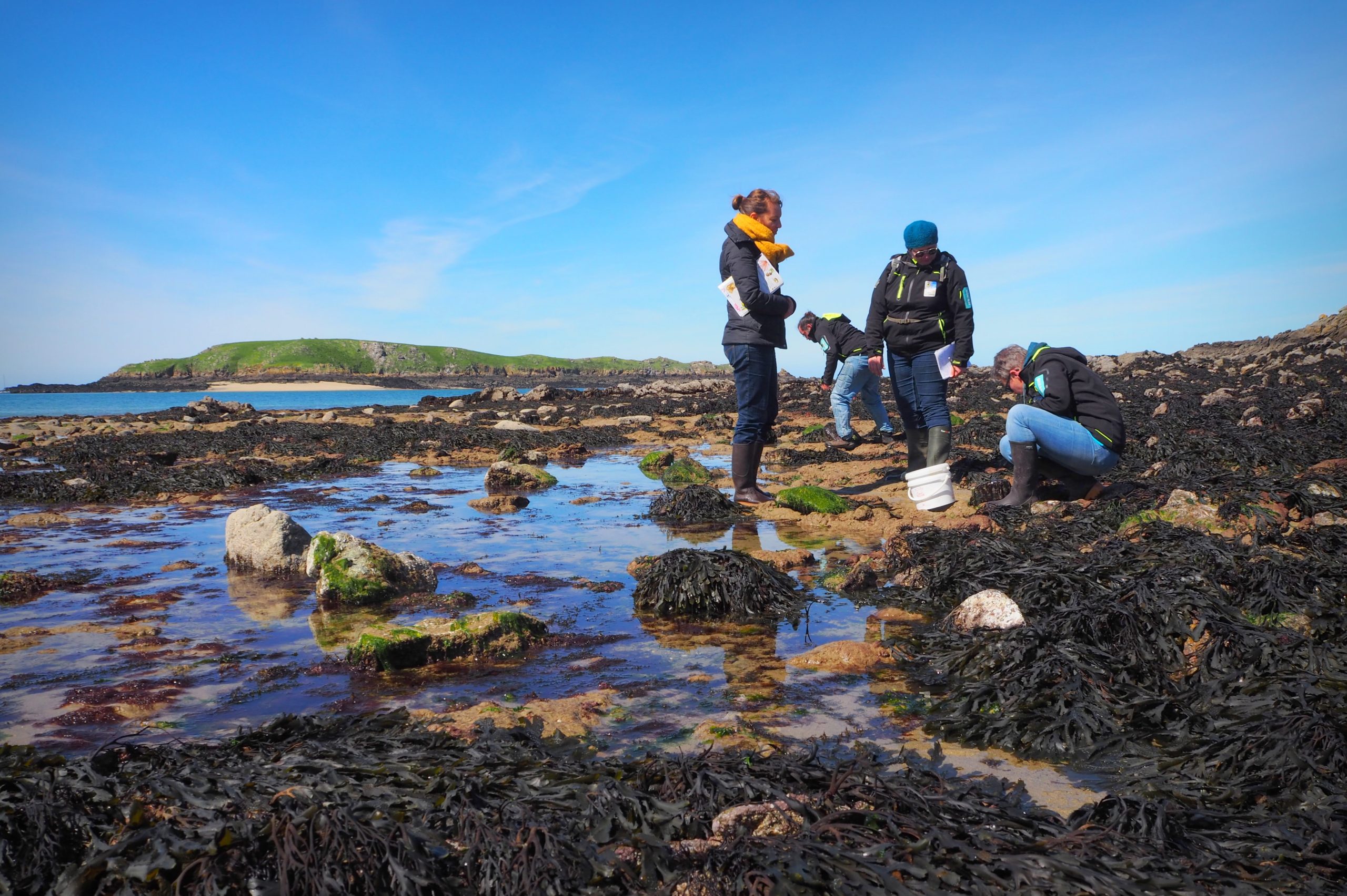 Sortie accompagnée pêche à pied Parc naturel régional Rance Emeraude