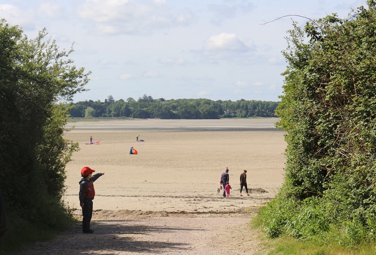Plage de la Roche Morin autorisée aux chiens à Lancieux toute l'année.