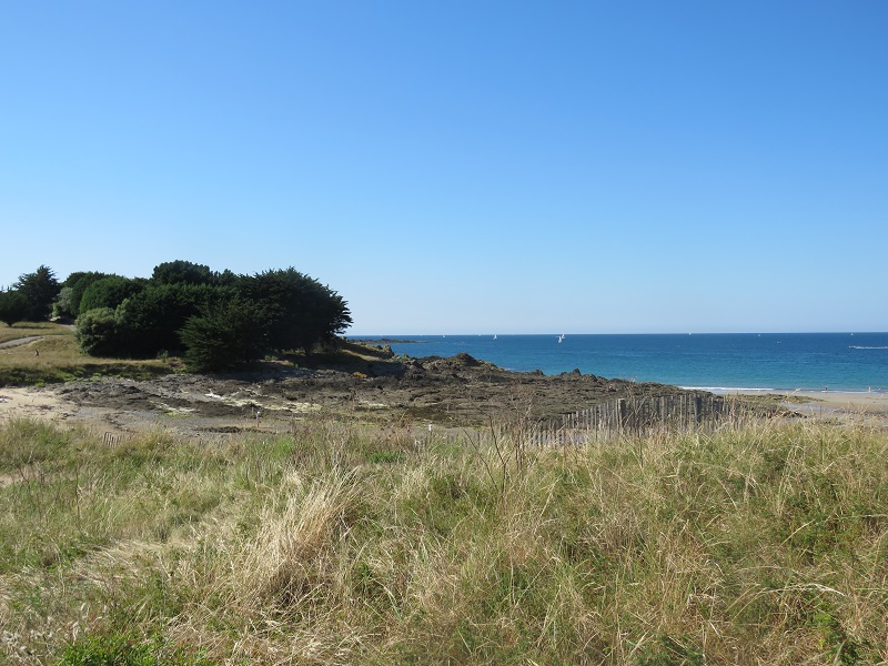Plage Du Tertre Pelé autorisée aux Chiens à Saint Briac Sur Mer.