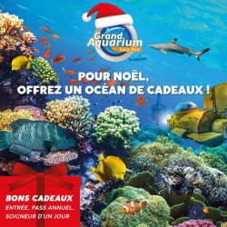 Bon Cadeau Noël Grand Aquarium Saint Malo